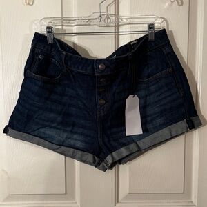 No Boundaries Denim Shorts